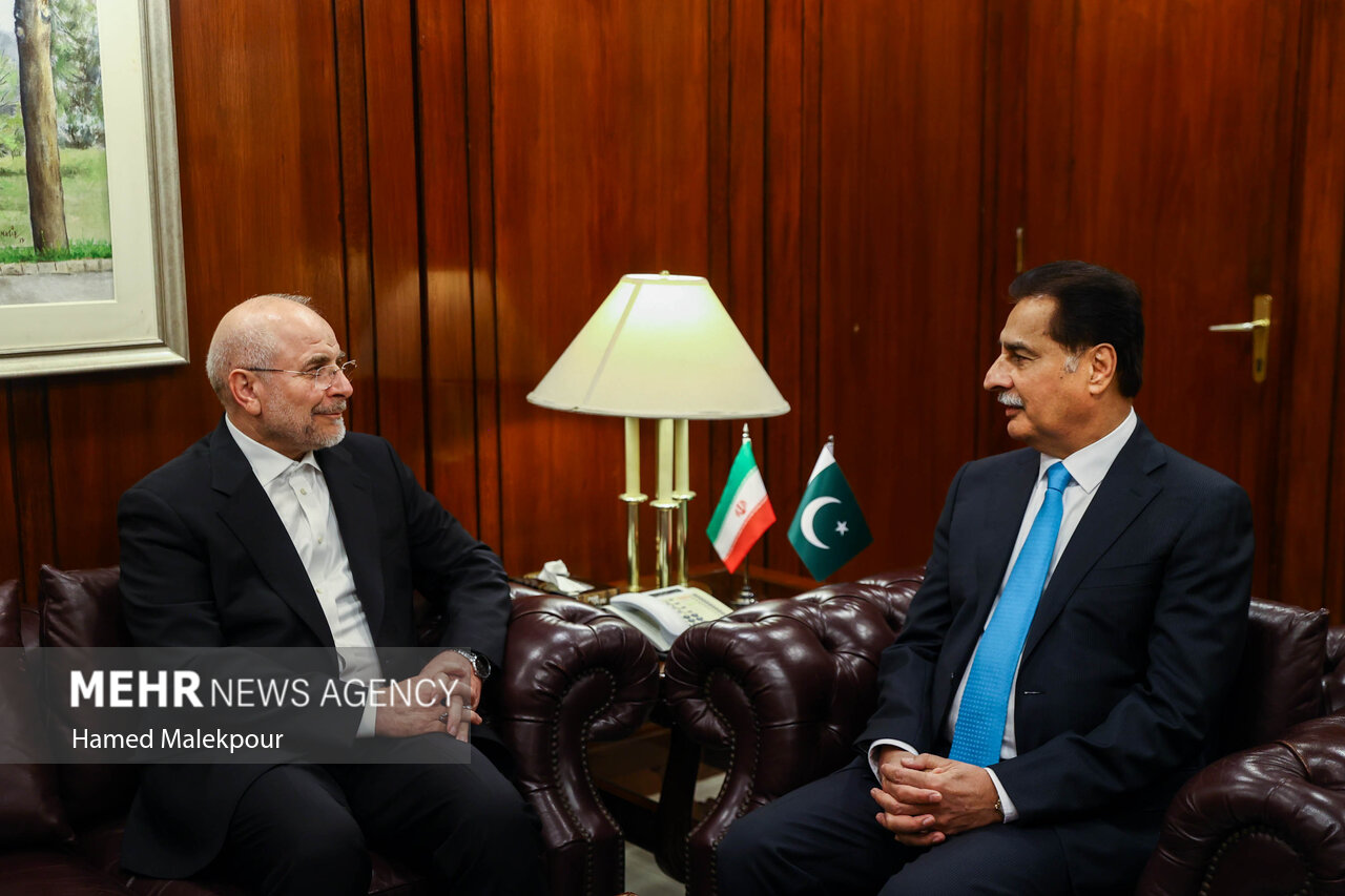 اولین روز سفر رئیس مجلس به پاکستان