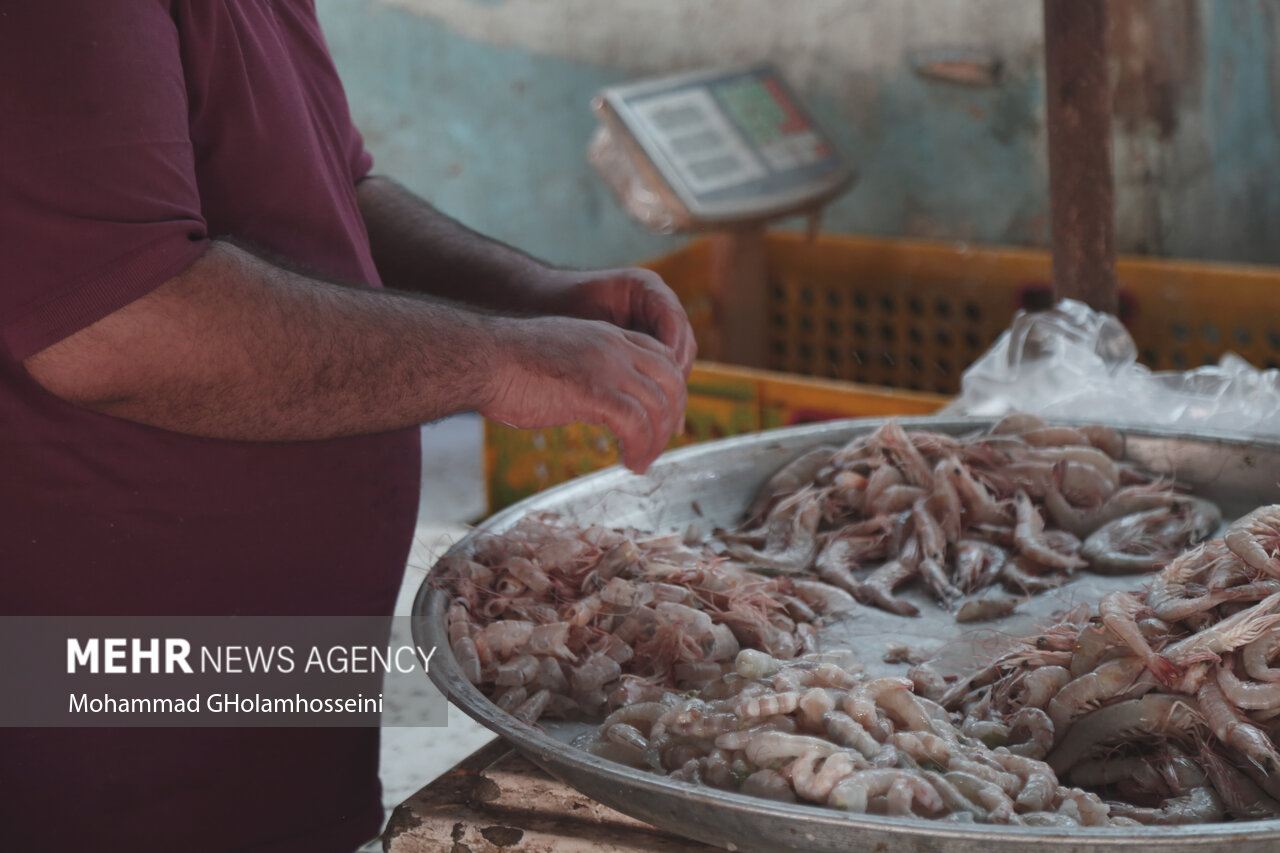 بازار ماهی فروشان بوشهر