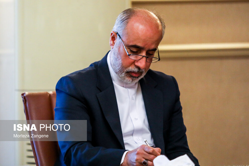 نشست کارگروه کنسولی شورای عالی ایرانیان خارج از کشور با حضور امیرعبداللهیان