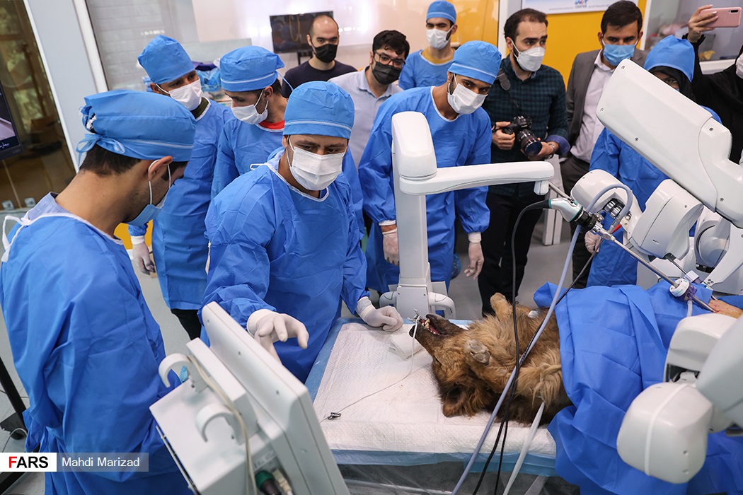 ربات ایرانی