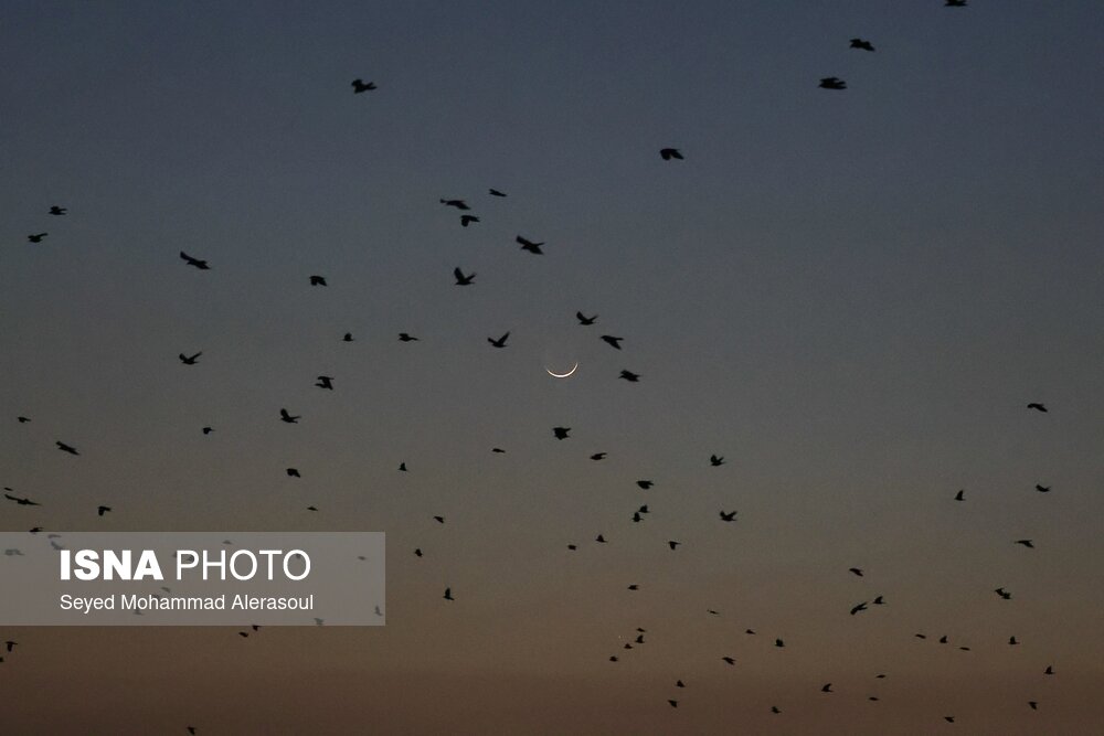 استهلال ماه مبارک رمضان - مشهد
