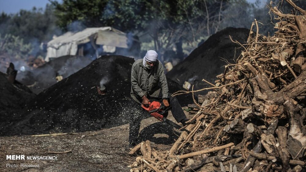 تولید زغال در غزه