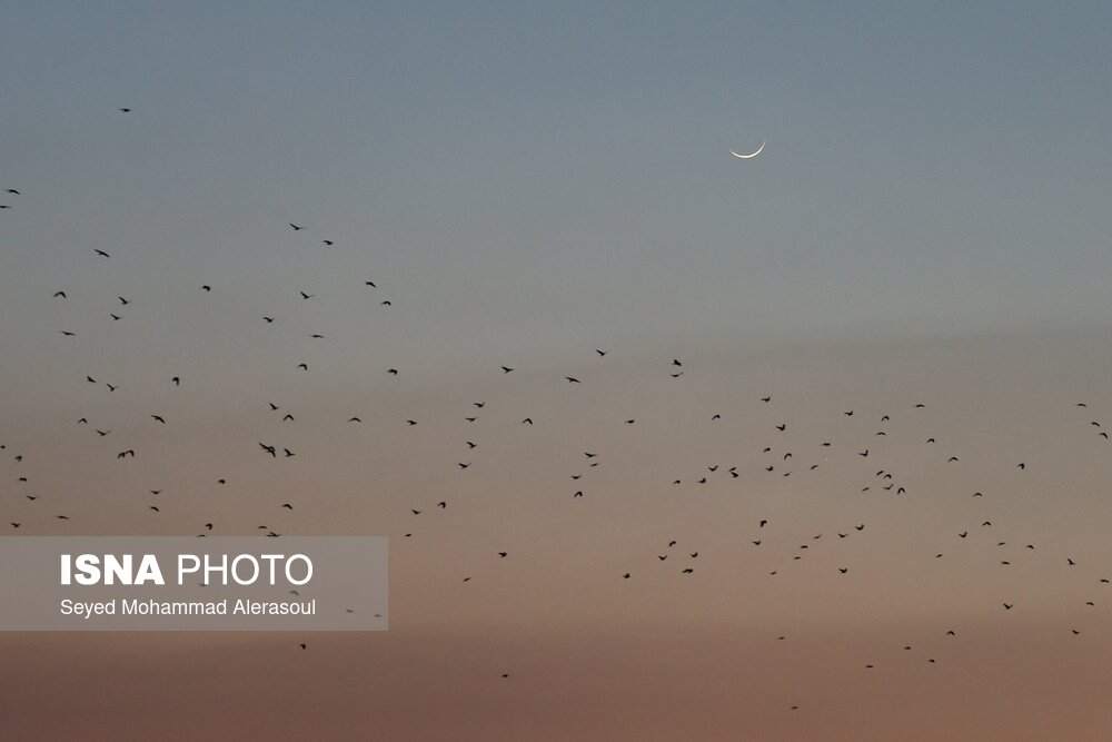 استهلال ماه مبارک رمضان - مشهد