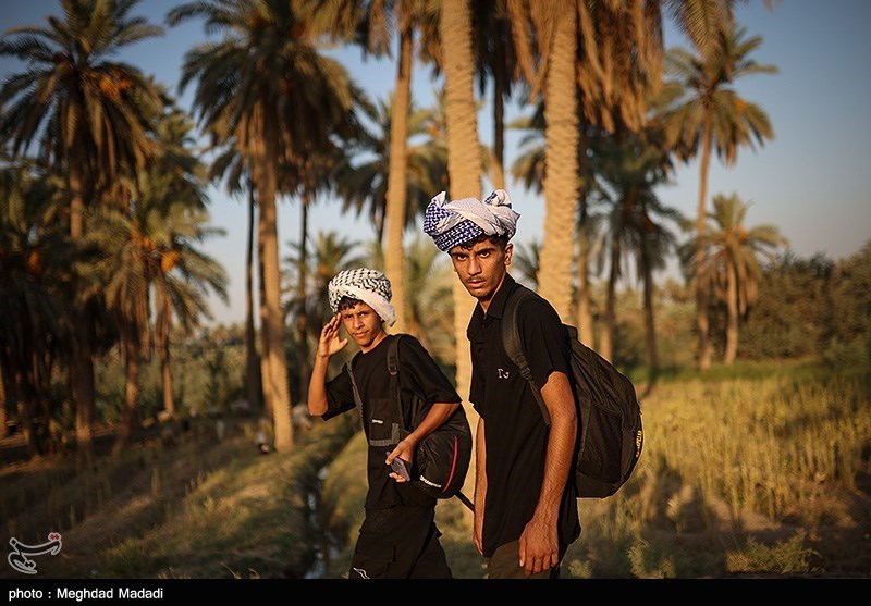 پیاده روی نجف تا کربلا