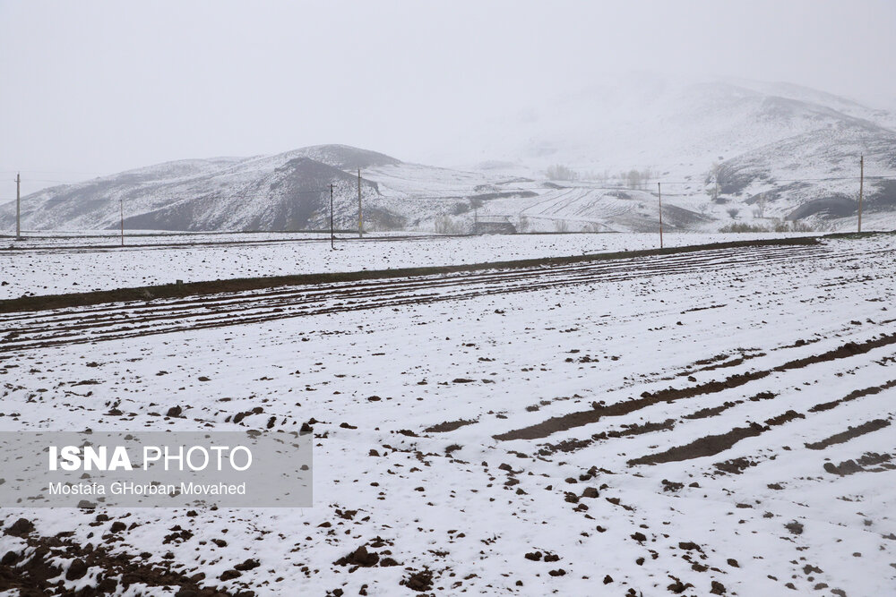 بارش برف بهاری - اهر