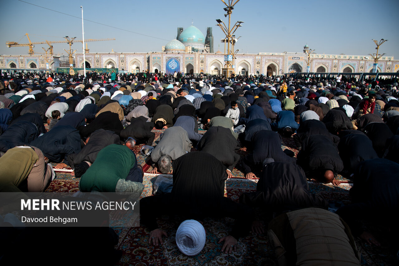  اقامه نماز طلب باران در حرم مطهر امام رضا (ع)