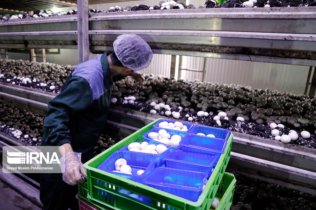 سفر رئیس جمهور به کردستان