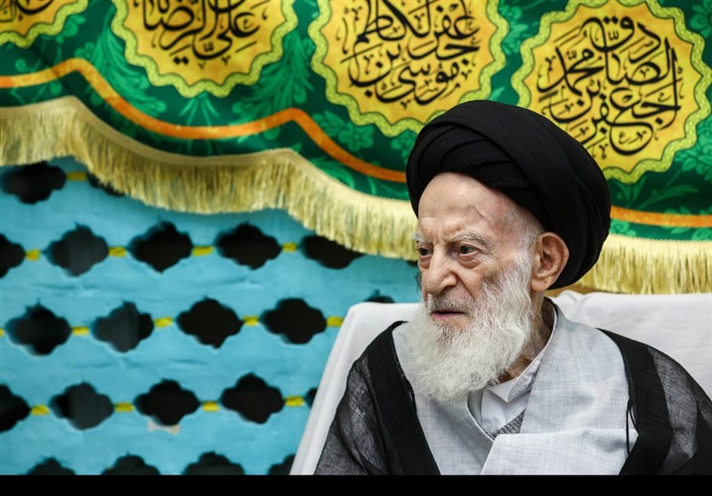 دیدار رئیس مجلس با آیت‌الله شبیری زنجانی