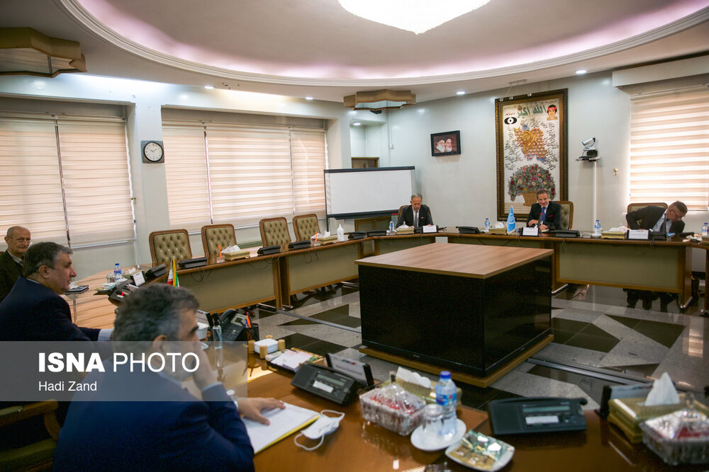 دیدار رافائل گروسی با محمد اسلامی