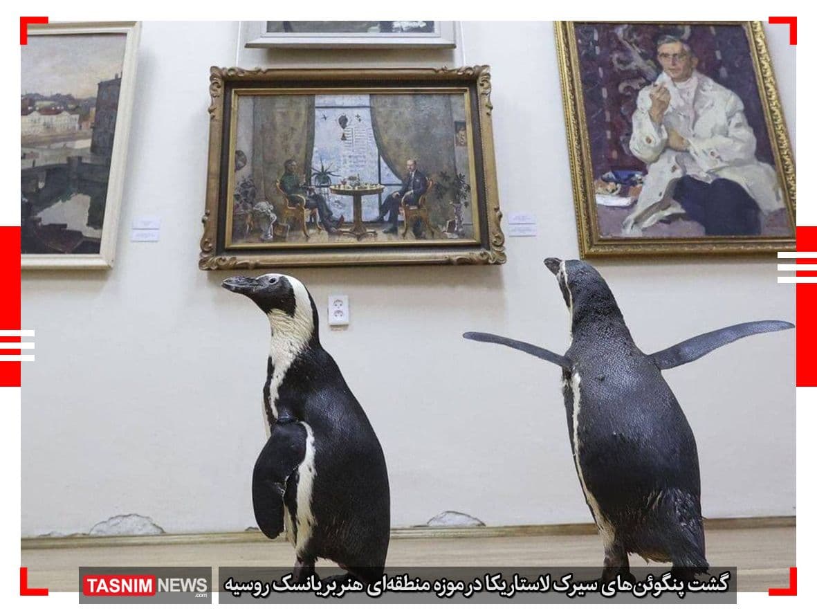 10 عکس برتر جهان