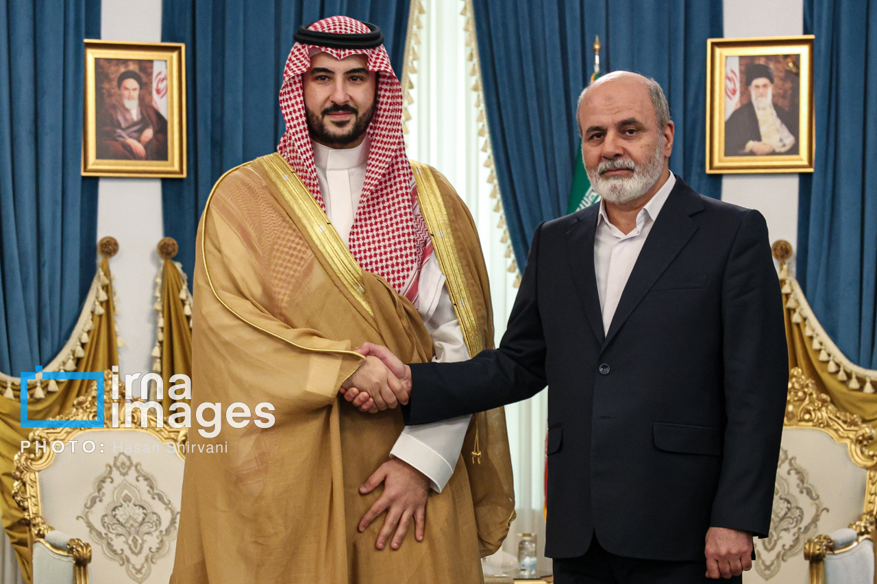دیدار وزیر دفاع عربستان با دبیر شورای عالی امنیت ملی