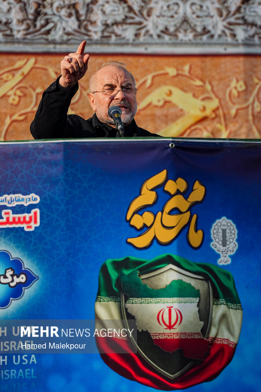 تجمع همبستگی ملی با سخنرانی رئیس مجلس