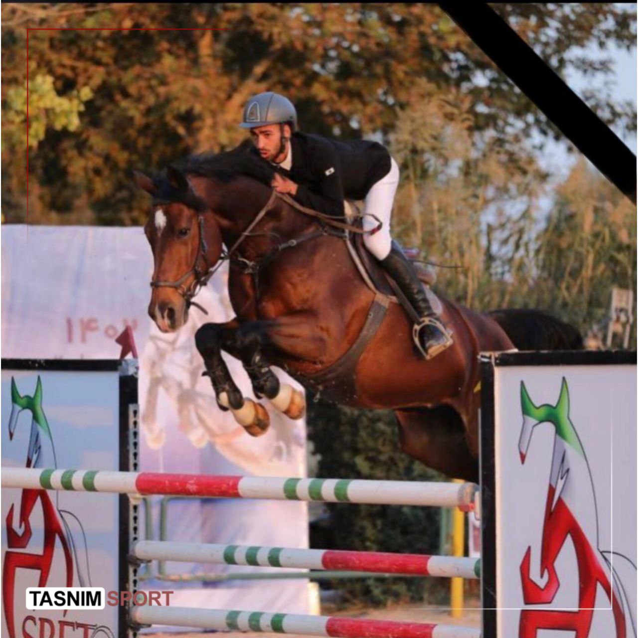 مهدی پولادوند