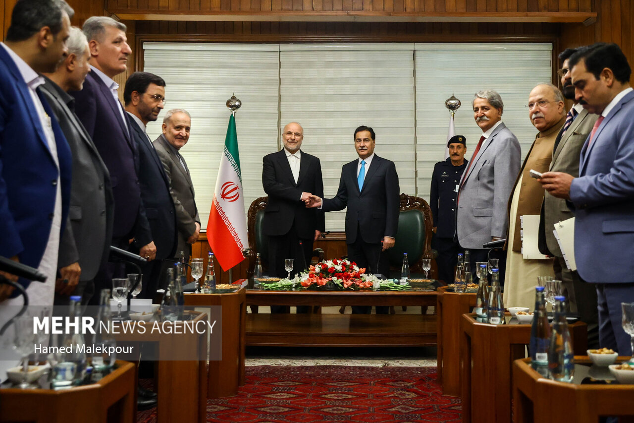 اولین روز سفر رئیس مجلس به پاکستان