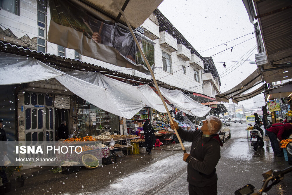 حال و هوای برفی ساری