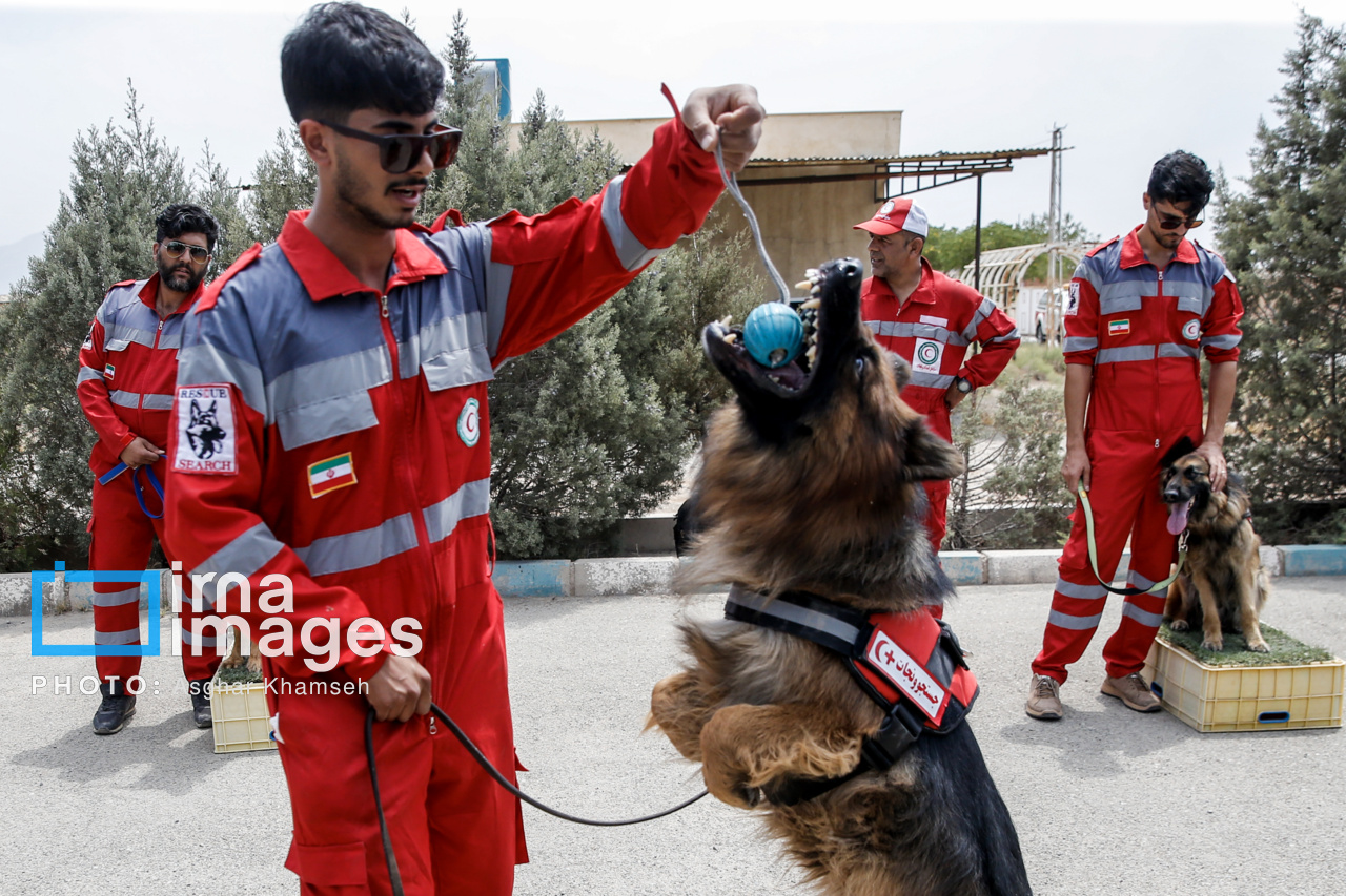 مانور سگ‌های نجات هلال احمر