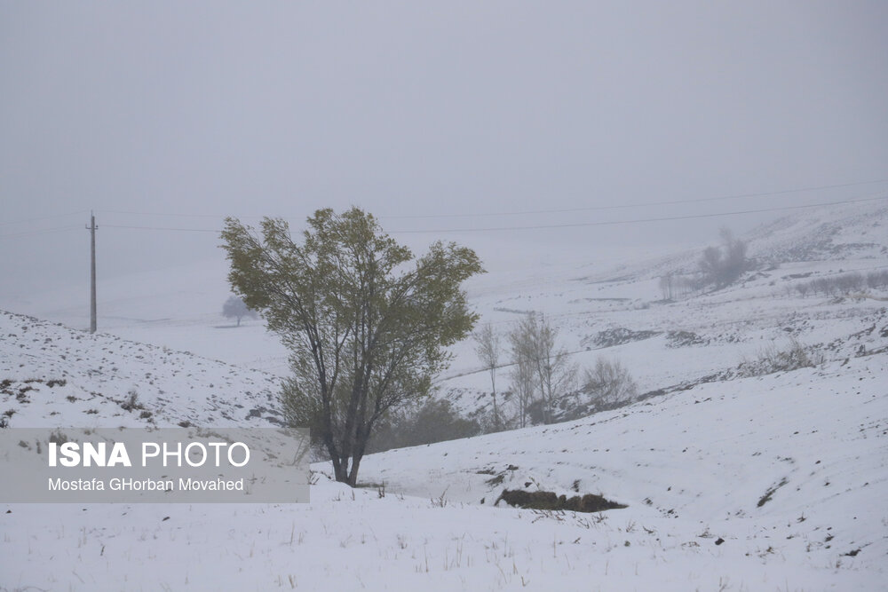 بارش برف بهاری - اهر