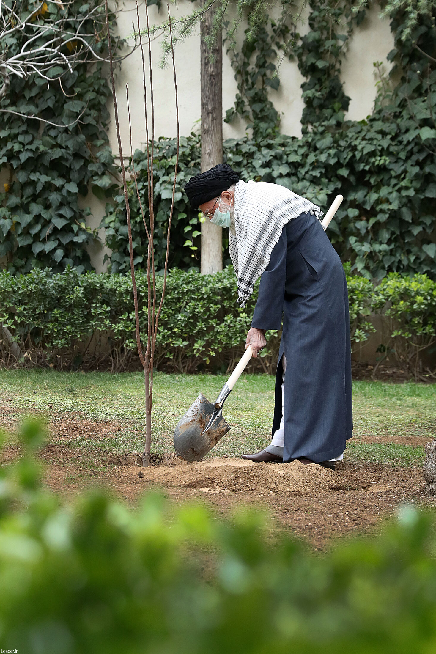 رهبر انقلاب در حال درختکاری