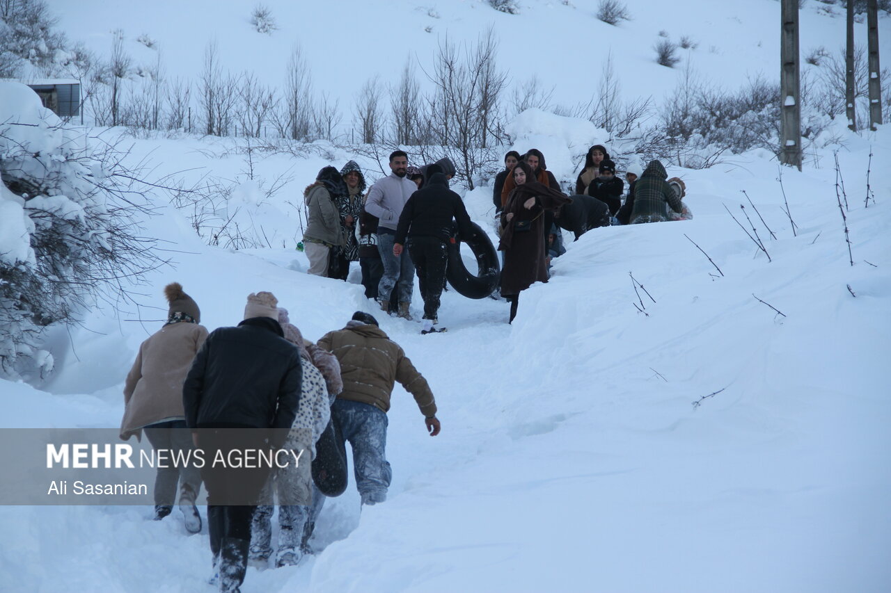 بارش برف در گردنه حیران