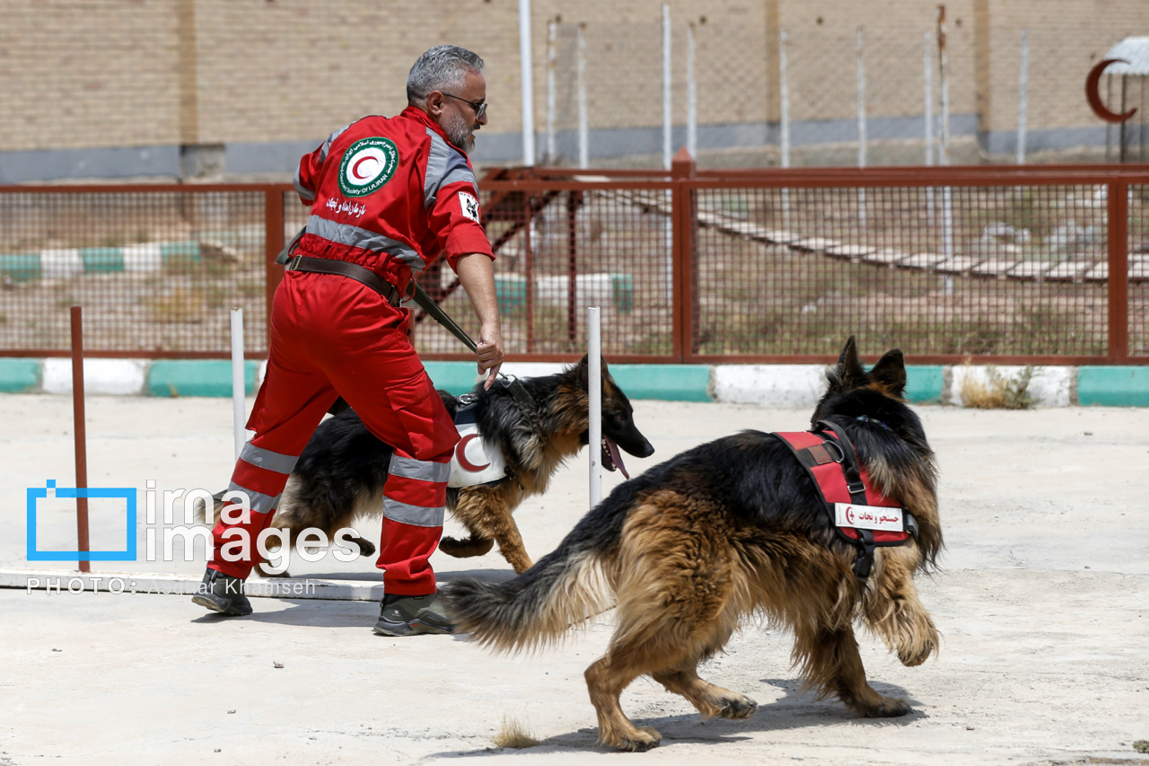 مانور سگ‌های نجات هلال احمر