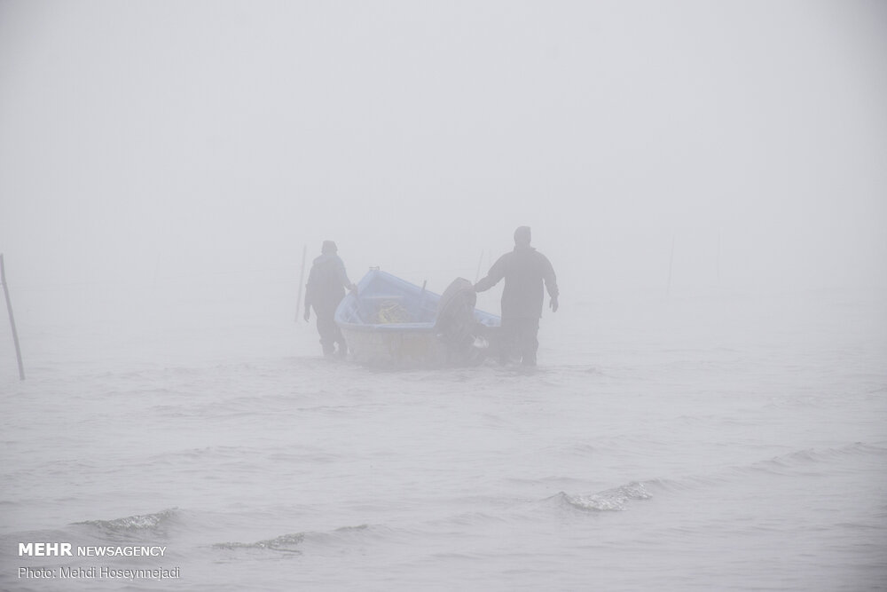 تورهای غیر مجاز ماهیگیری 