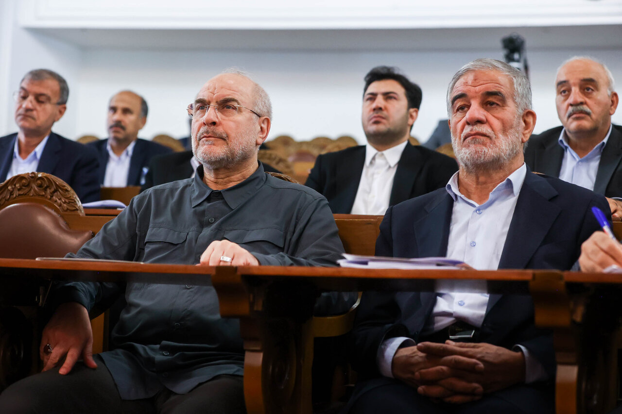 رئیس مجلس در همایش ناظران شورا‌ها