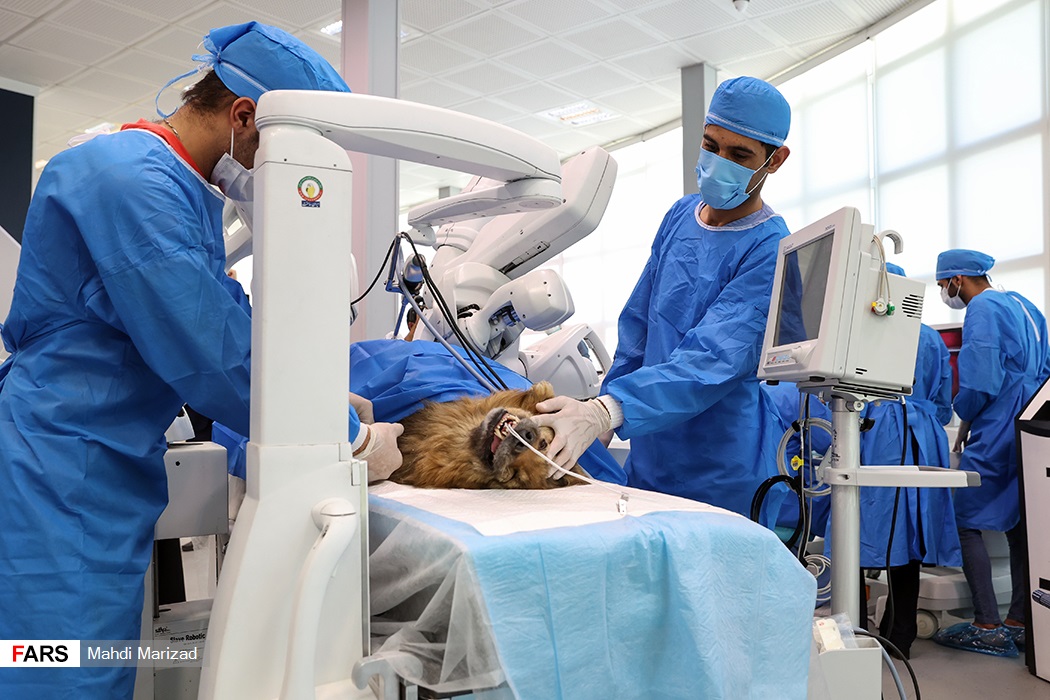 ربات ایرانی