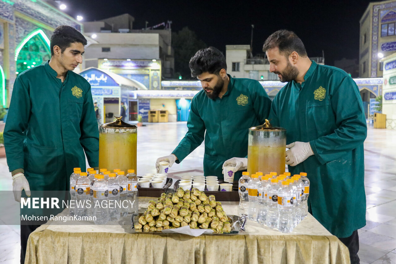 ضریح مطهر آستان مقدس امامزاده صالح (ع)