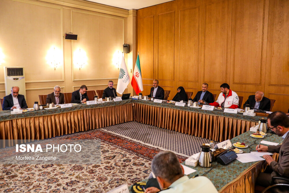 نشست کارگروه کنسولی شورای عالی ایرانیان خارج از کشور با حضور امیرعبداللهیان