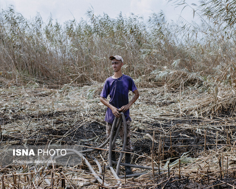آتش‌سوزی در مرداب انزلی