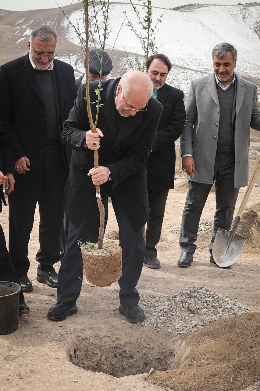 غرس یک اصله نهال میوه به مناسبت روز درختکاری توسط محمدباقر قالیباف رئیس مجلس شورای اسلامی در جاده تلوی تهران