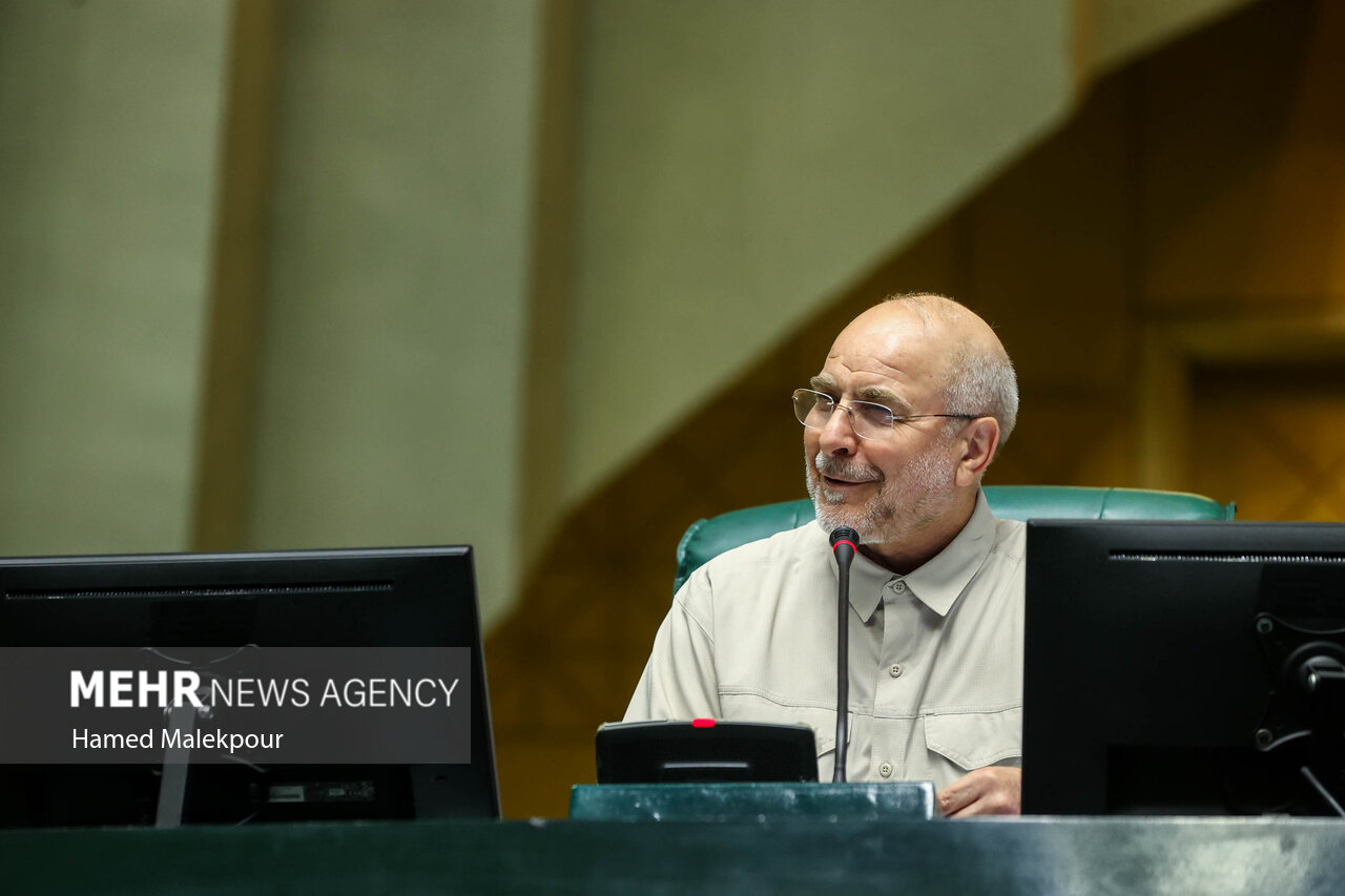 خادمان حرم حضرت عبدالعظیم در صحن مجلس