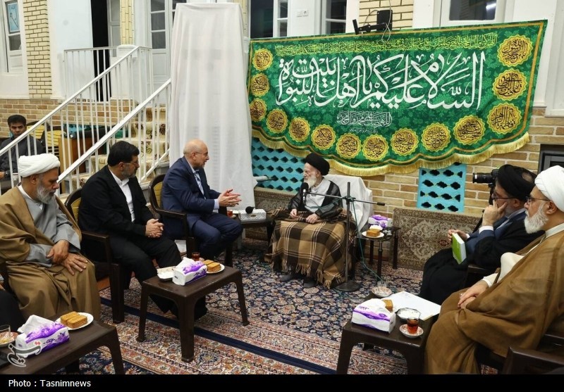 دیدار رئیس مجلس با آیت‌الله شبیری زنجانی