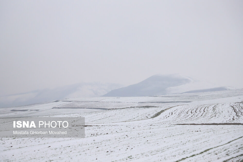 بارش برف بهاری - اهر