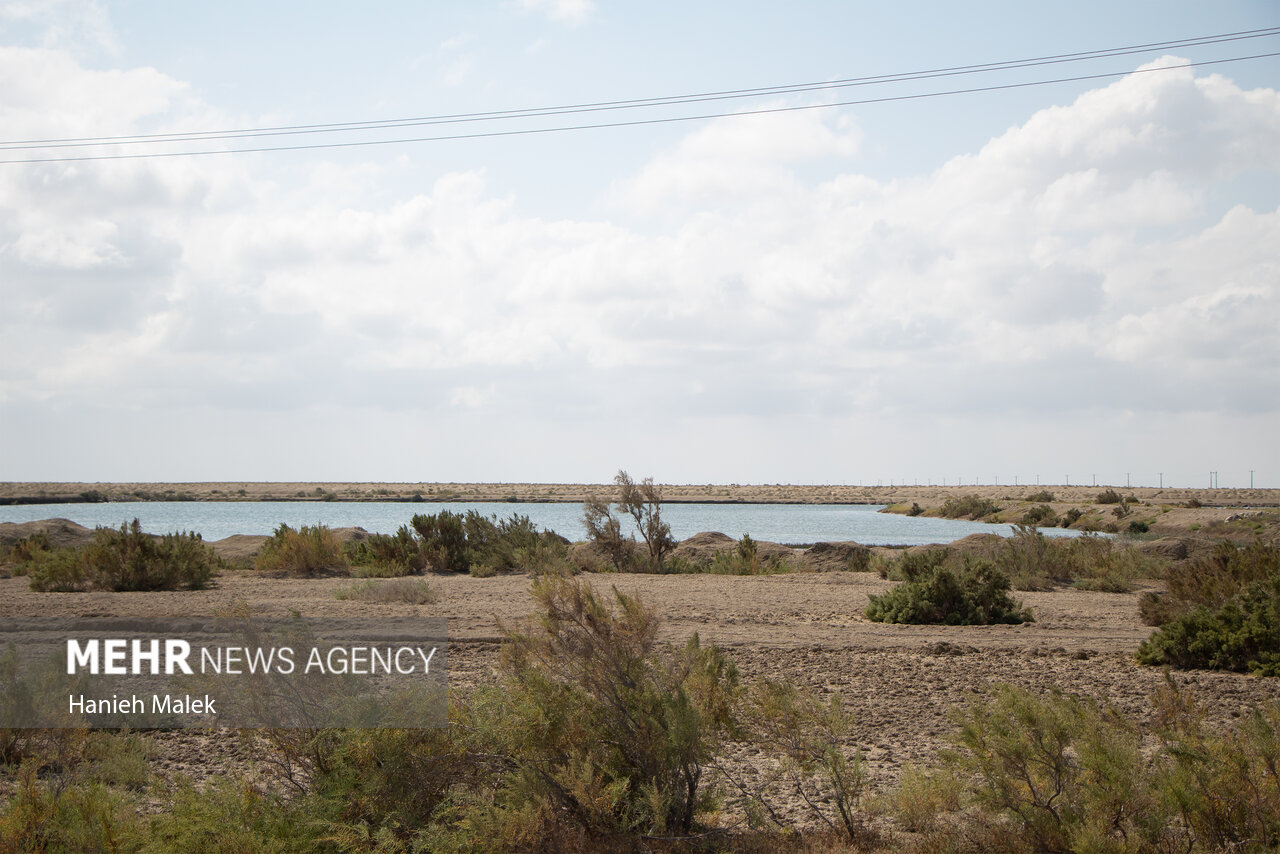 وزیر جهادکشاورزی