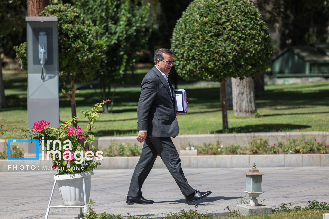 اعضای هیأت دولت