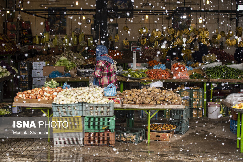 حال و هوای برفی ساری