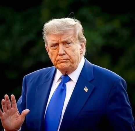 سرگشتگی دونالد