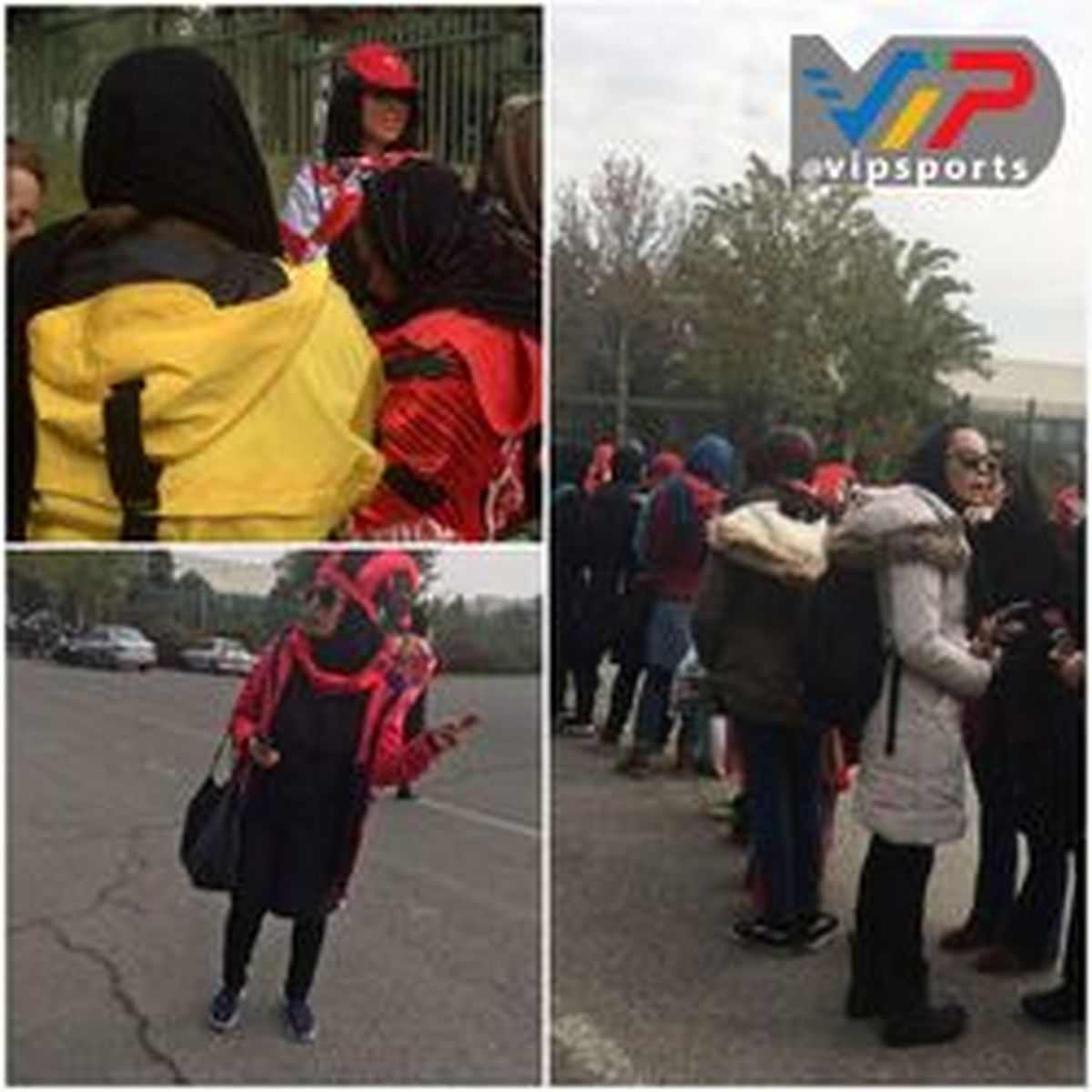 ورود تشریفاتی دختر برانکو به ورزشگاه آزادی +عکس