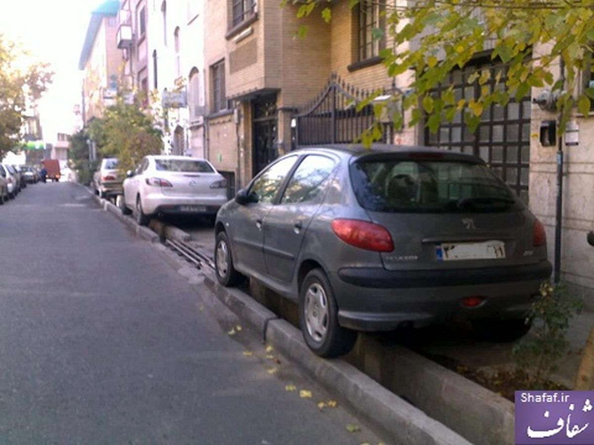 عکس/ آخرین راه حل برای پارک در تهران!