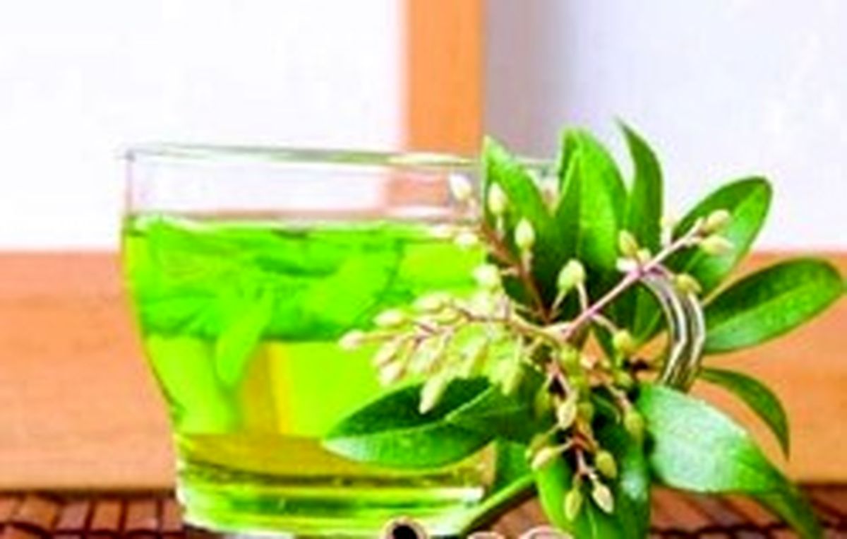 با این دمنوش‌های گیاهی با کبدچرب خداحافظی کنید!