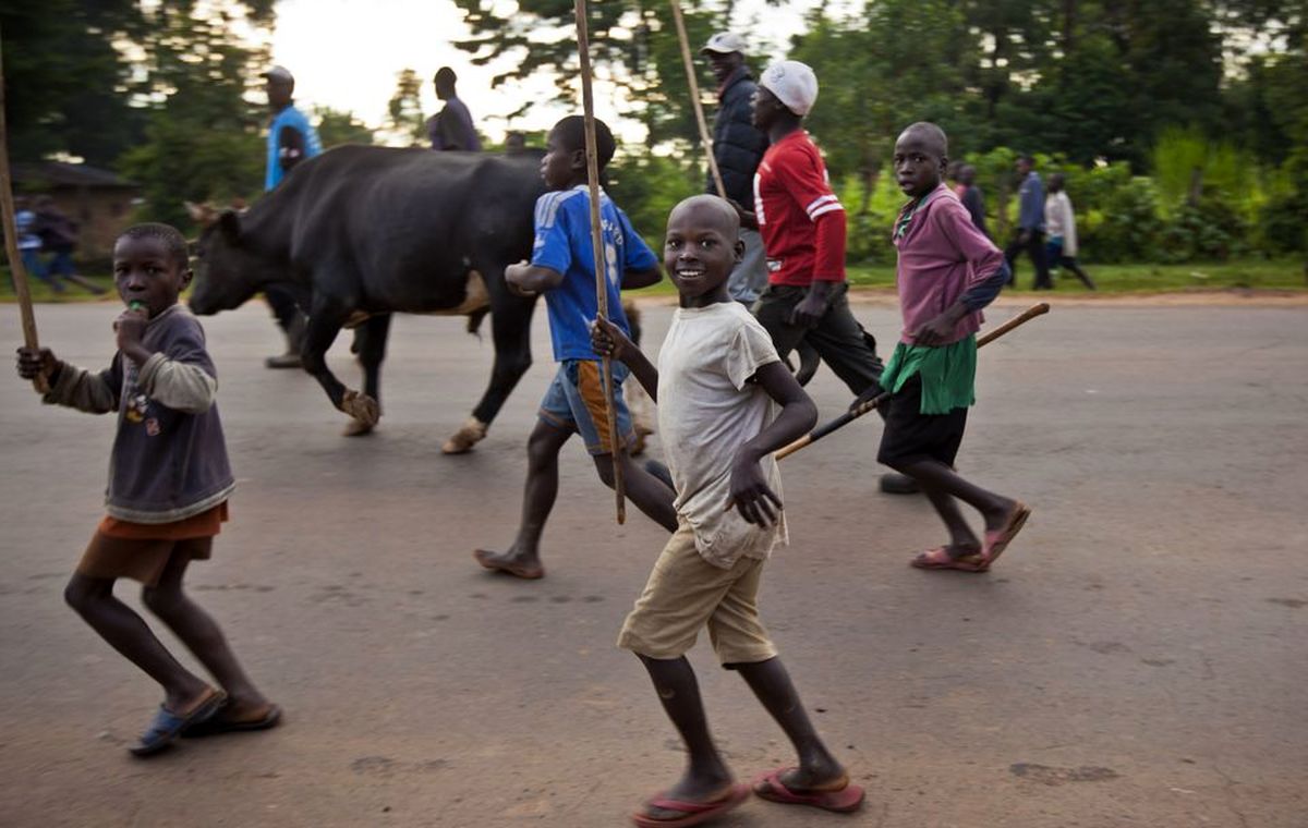نبرد اوباما و رامني در گاوبازی /تصاویر