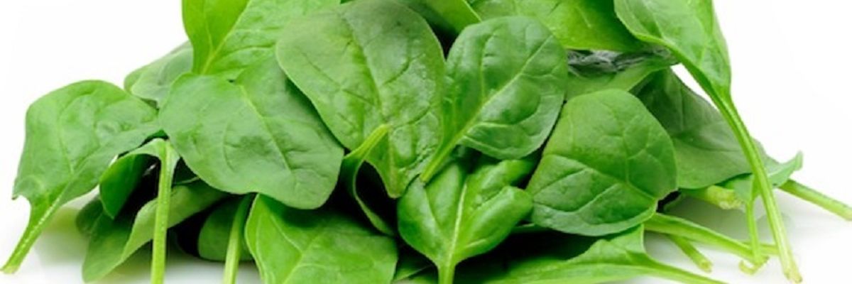 ۸ ماده غذایی برای تقویت ناخن‌ها