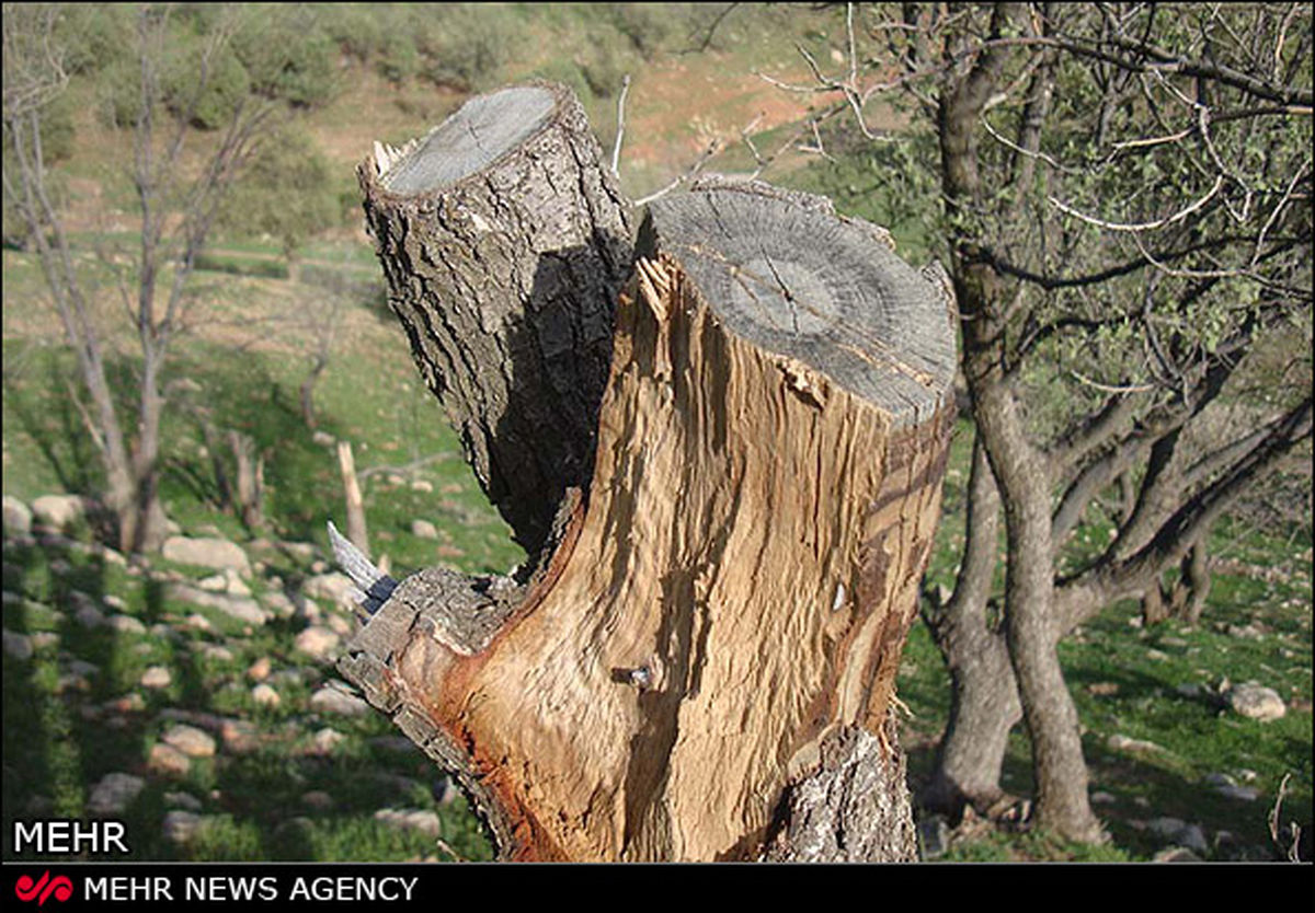 رشته کوهی بی‌نظیر در خاورمیانه/ تصاویر