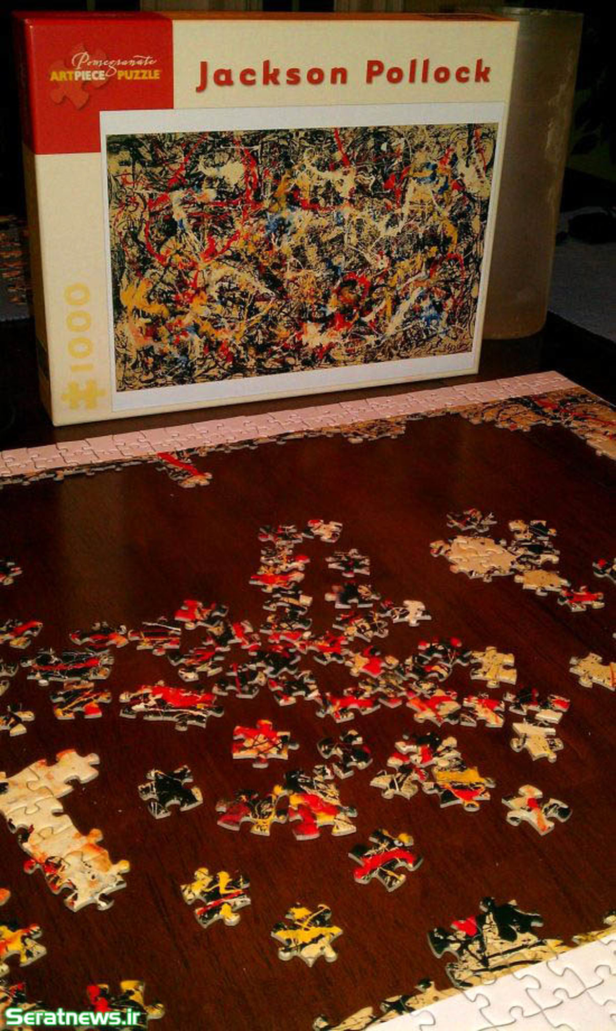 سخت ترین پازل دنیا /عکس