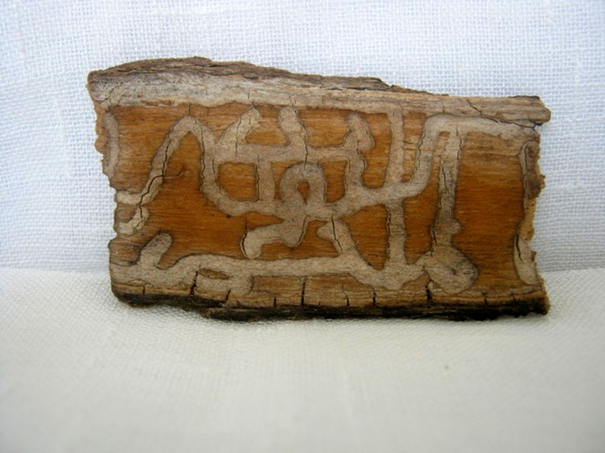 وقتی که طبیعت نیز تشهد می گوید+عکس