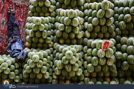 عکس/ بدون شرح!