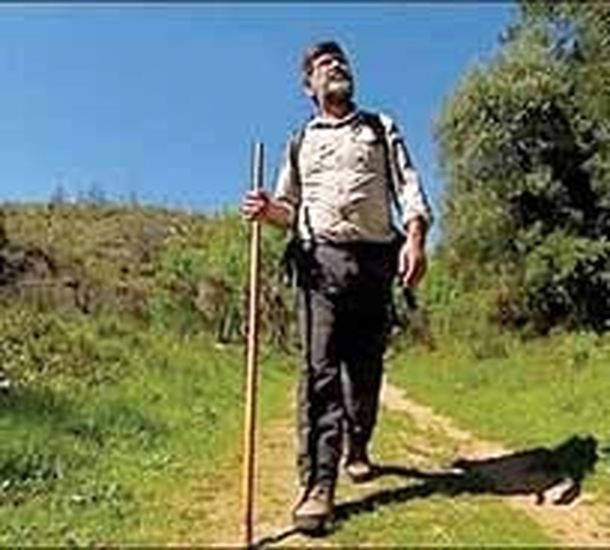 اجاره زیارتکننده در پرتغال +عکس