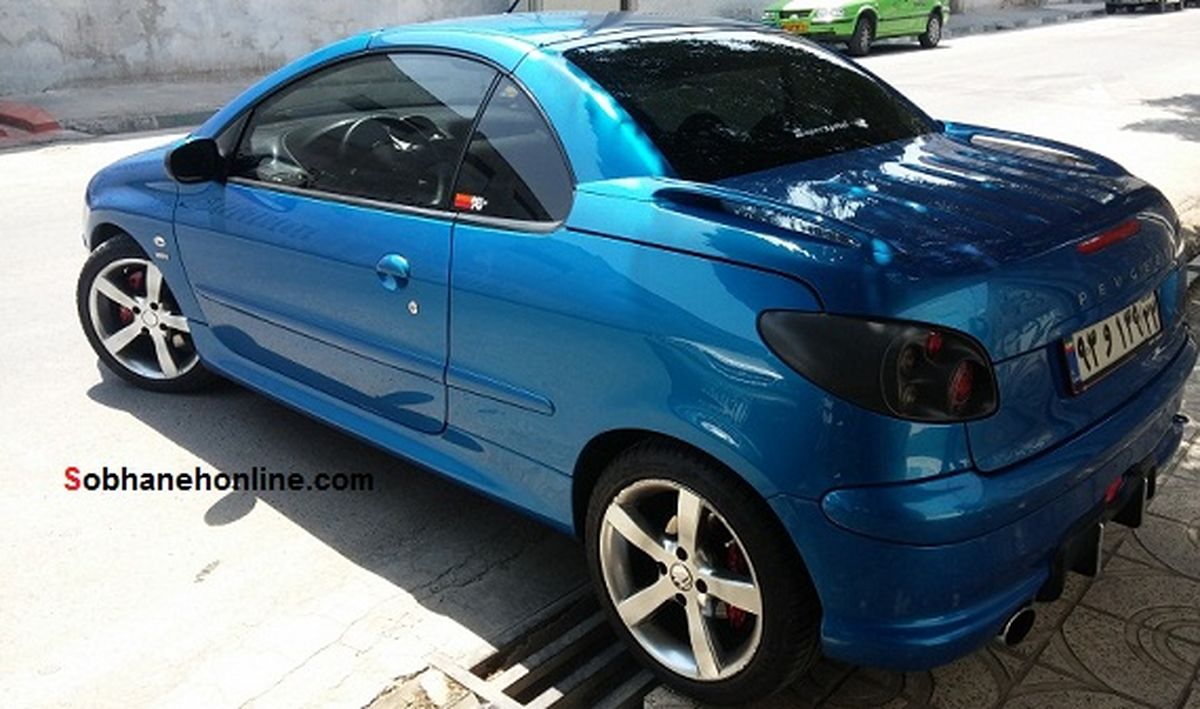 عکس/ یک 206 استثنایی در تهران