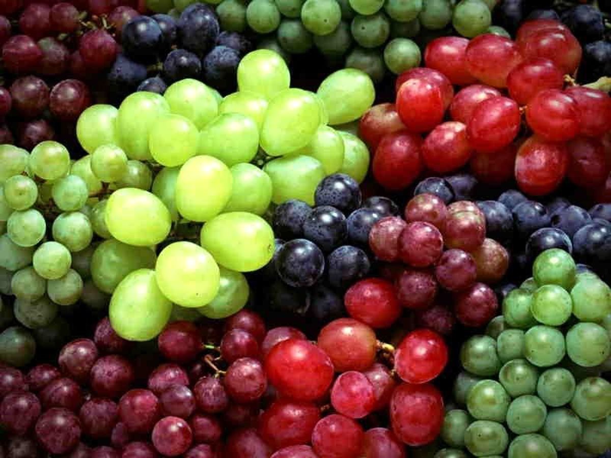معجزه  این میوه در مقابل یک بیماری کشنده!